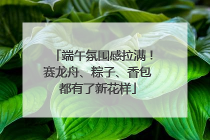 端午氛围感拉满！赛龙舟、粽子、香包都有了新花样